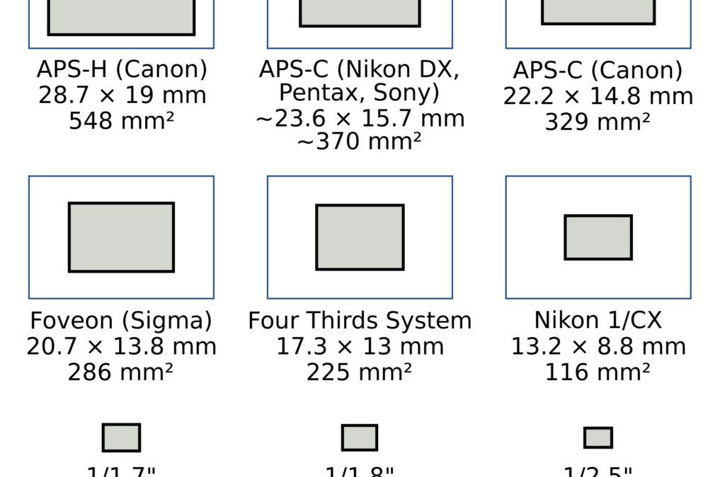 How important is the camera sensor size? Very.