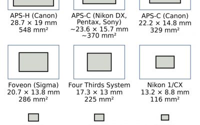 How important is the camera sensor size?  Very.